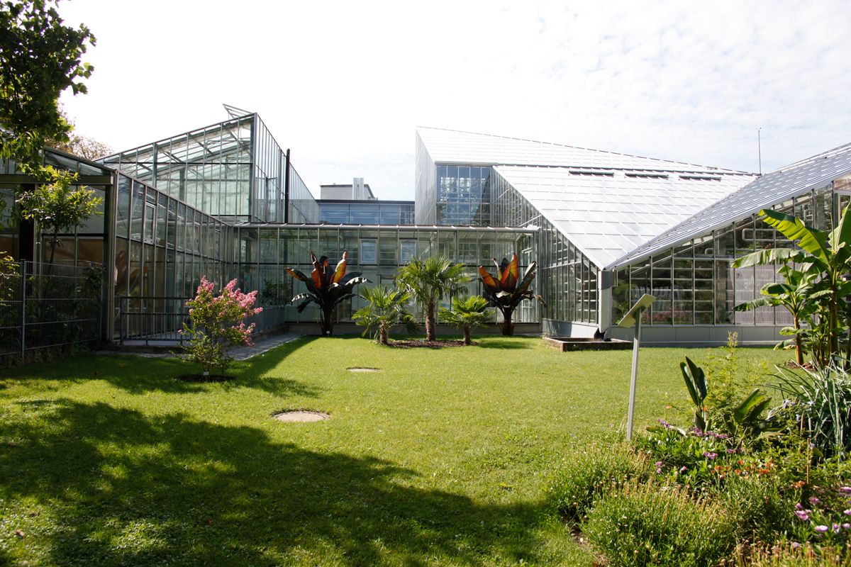 Botanischer Garten der Universität Freiburg – Freiburg Schaufenster der Forschung und Oase der Erholung
