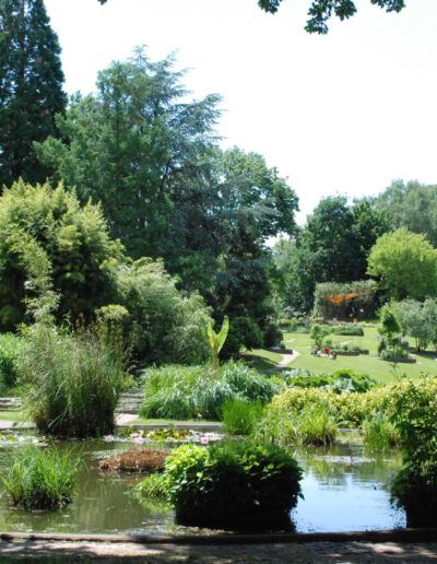 Botanischer Garten der Universität Freiburg – Freiburg Schaufenster der Forschung und Oase der Erholung