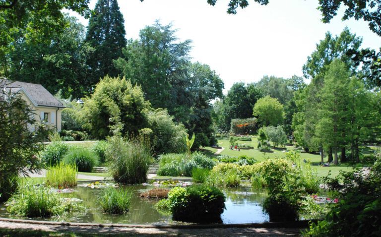 Tipp Schaufenster der Forschung und Oase der Erholung Botanischer Garten der Universität Freiburg – Freiburg Botanischer Garten der Universität Freiburg – Freiburg Schaufenster der Forschung und Oase der Erholung