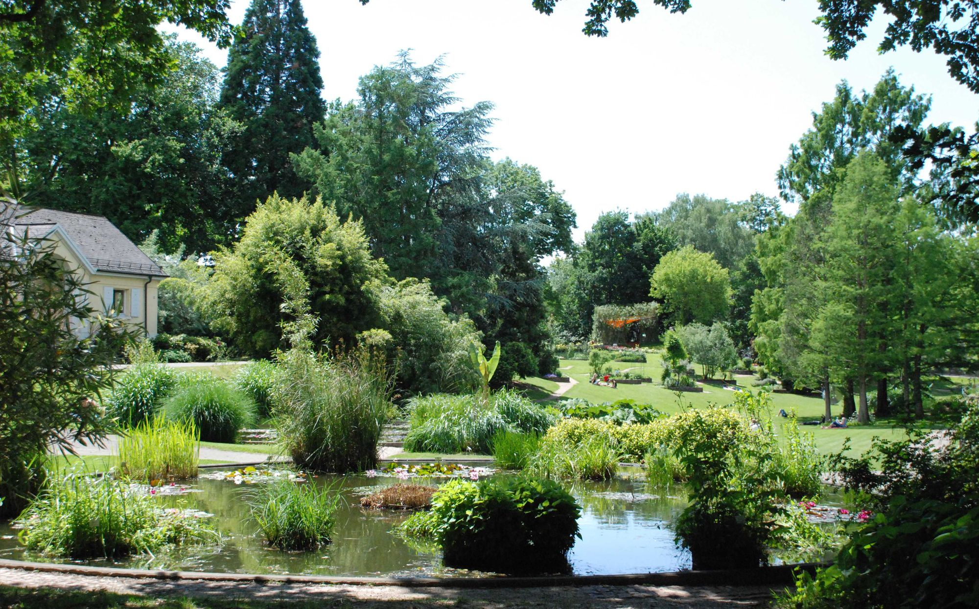 Botanischer Garten der Universität Freiburg – Freiburg Schaufenster der Forschung und Oase der Erholung