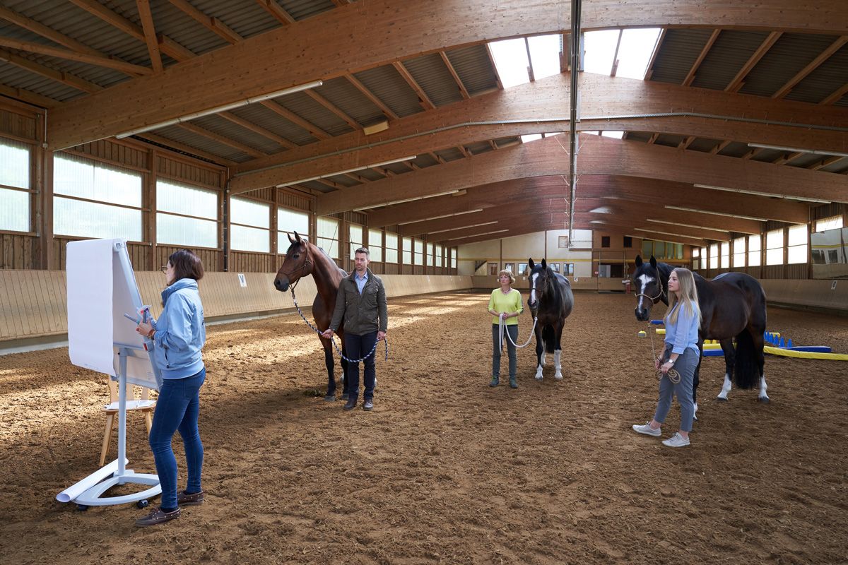Dr. Kathrin Färber – Ulm Systemisches und pferdegestütztes Coaching