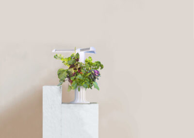 Greeny Garden – Ettlingen Bauen Sie Ihr Gemüse selbst an – auf winzigem Raum