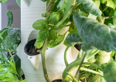 Greeny Garden – Ettlingen Bauen Sie Ihr Gemüse selbst an – auf winzigem Raum