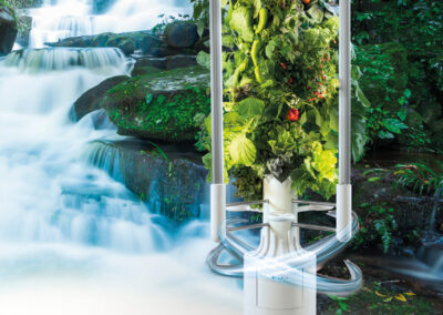 Greeny Garden – Ettlingen Bauen Sie Ihr Gemüse selbst an – auf winzigem Raum
