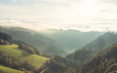 Architektur- und Produktfotografie Janik Gensheimer – Freiburg