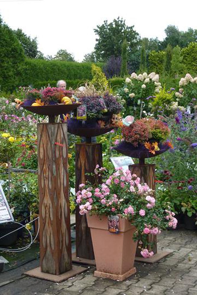 Pflanzen Oase Jansen – Karlsbad-Langensteinbach 7 Baumschule und Rhododendronpark