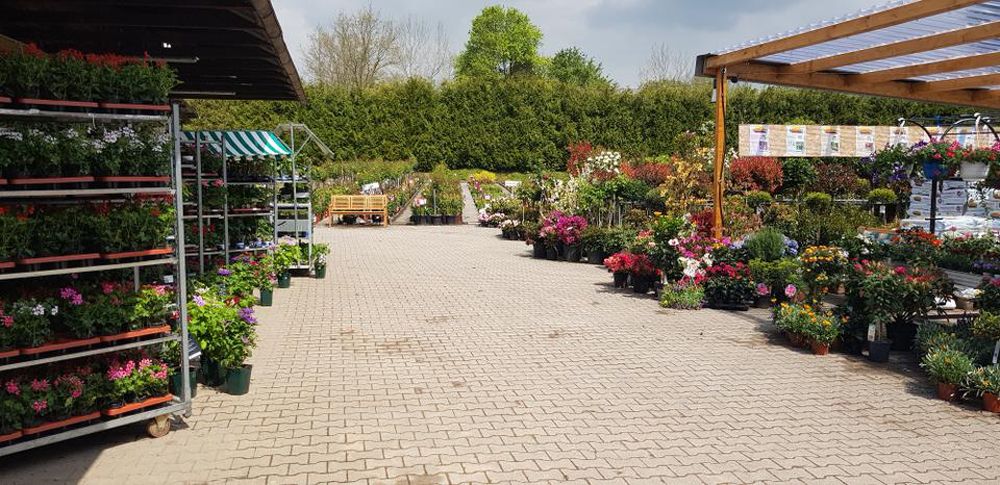 Pflanzen Oase Jansen – Karlsbad-Langensteinbach 15 Baumschule und Rhododendronpark