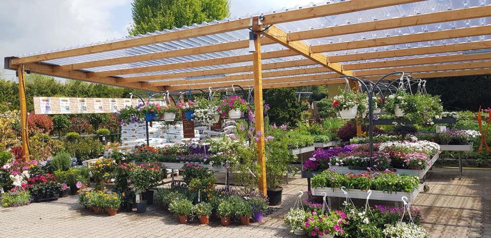 Pflanzen Oase Jansen – Karlsbad-Langensteinbach 16 Baumschule und Rhododendronpark