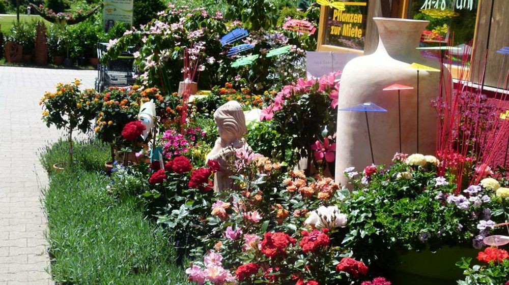 Pflanzen Oase Jansen – Karlsbad-Langensteinbach 12 Baumschule und Rhododendronpark