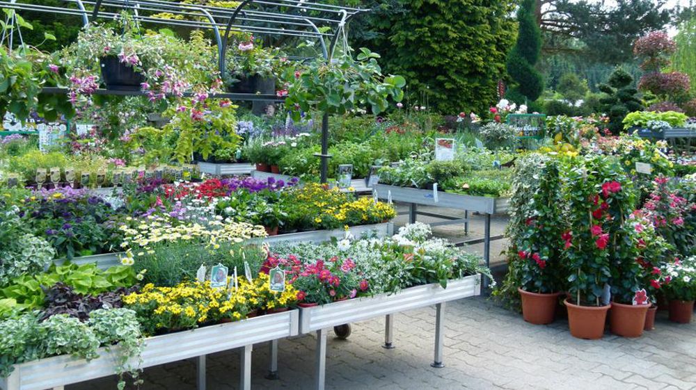 Pflanzen Oase Jansen – Karlsbad-Langensteinbach 4 Baumschule und Rhododendronpark
