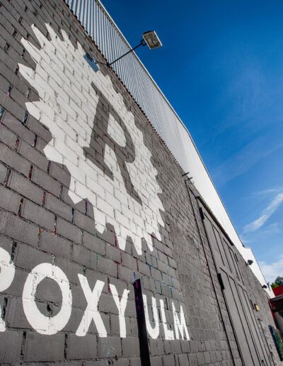 ROXY – Ulm Kultur in den Hallen