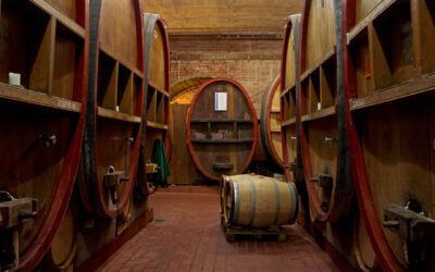 Remstalkellerei – Weinstadt Spitzenweine aus dem Remstal