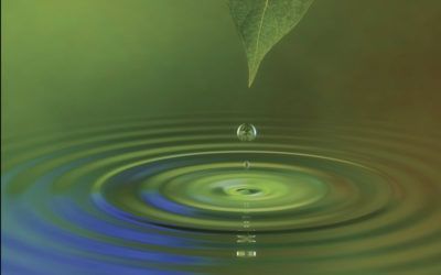 Kommunikation für Werte & Gesellschaft – Dresden Sustainability Consulting