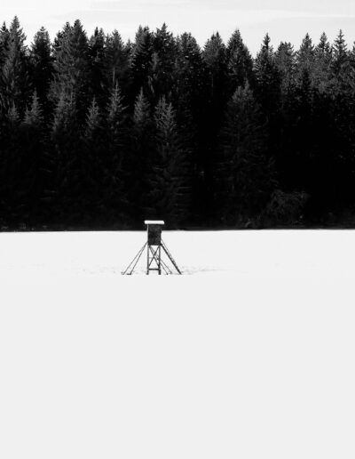 Schwarz.Wald.Weiß.  – Freiburg Ein Buch für eine Farbe: für das Weiß des Schwarzwalds