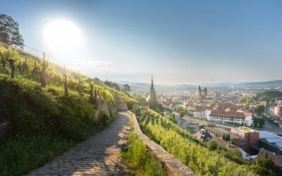 TeamWerk Esslingen – Esslingen Qualitätsweine aus Esslingen
