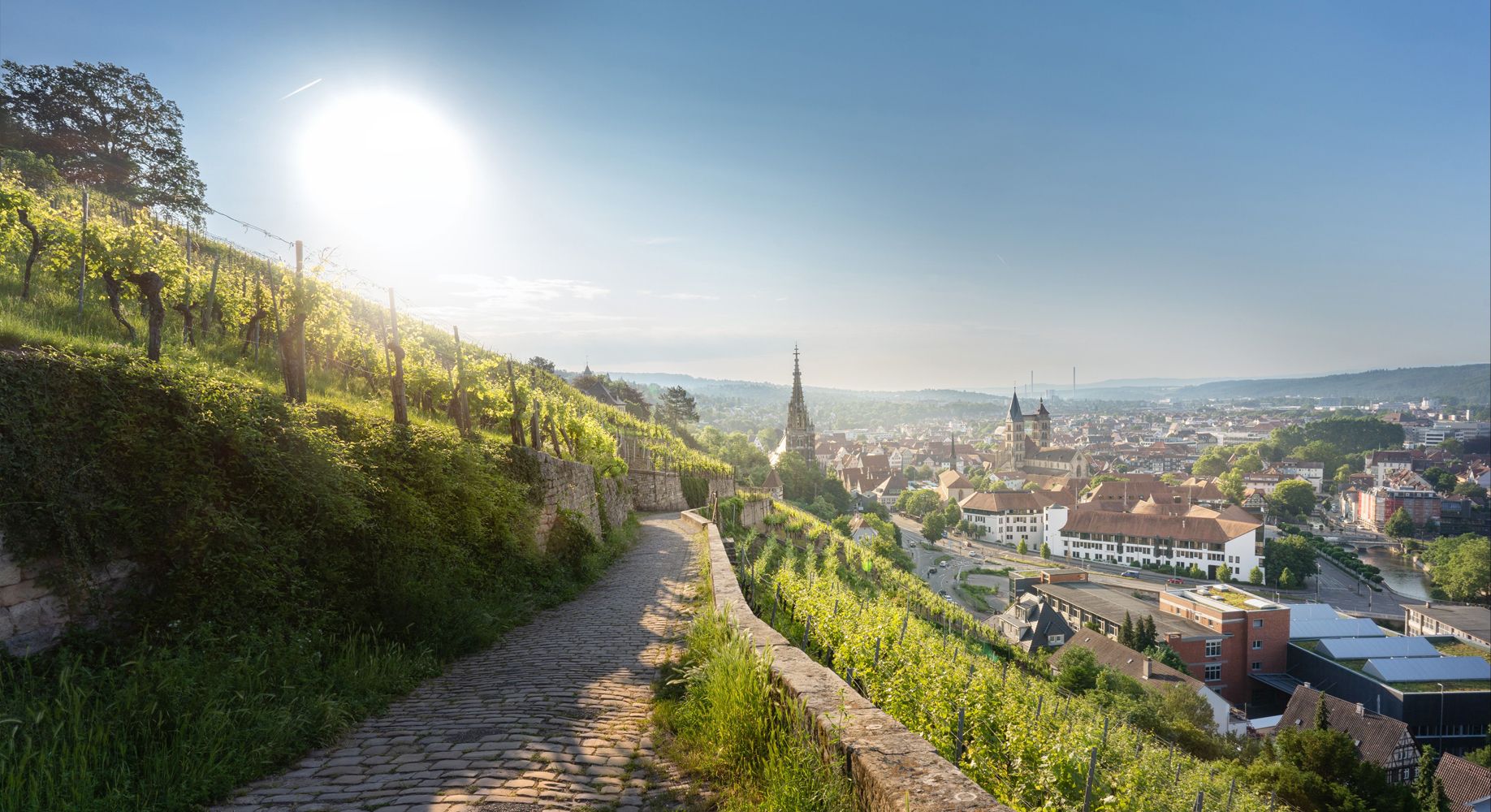 TeamWerk Esslingen – Esslingen Qualitätsweine aus Esslingen