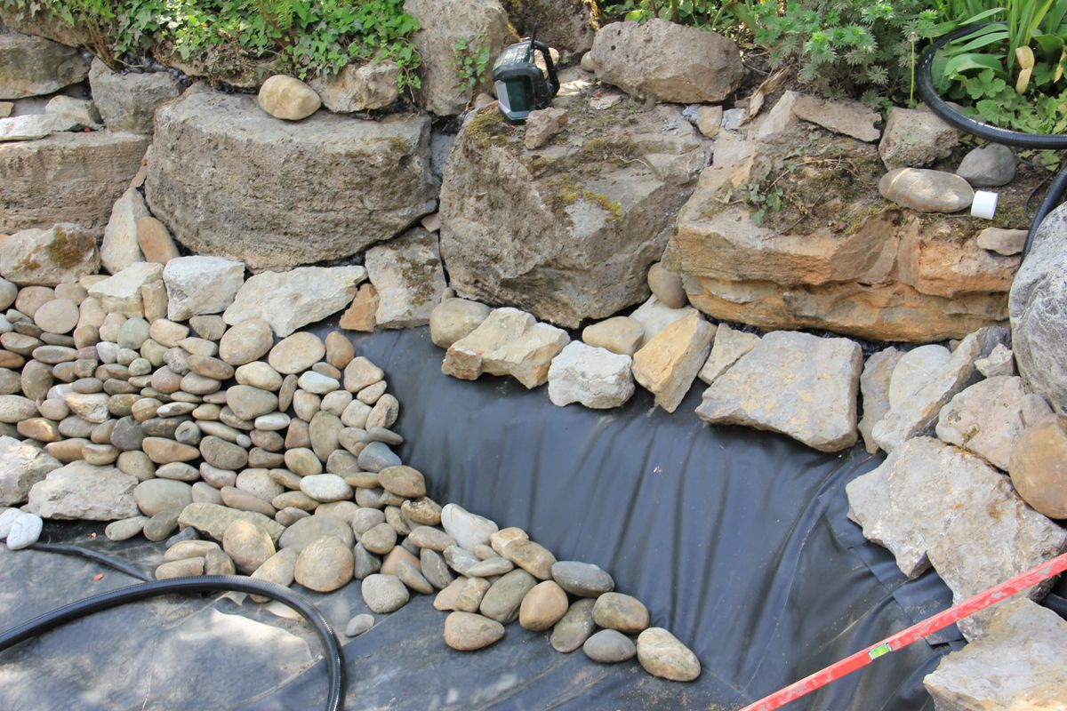 Ihr Teich soll schöner werden - TeichArt 4 TeichArt Ihr Teich soll schöner werden