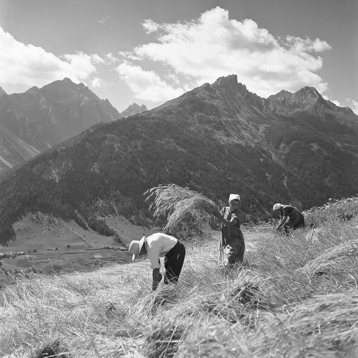 Tourismusverband Allgäu – Kempten 8 Tourismusverband Allgäu – Kempten Das kulinarische Erbe der Alpen