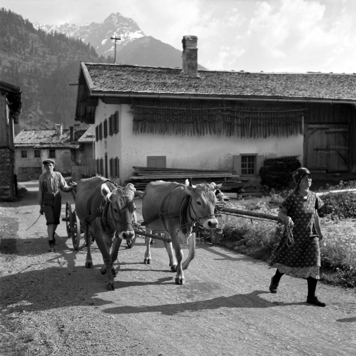 Tourismusverband Allgäu – Kempten Das kulinarische Erbe der Alpen