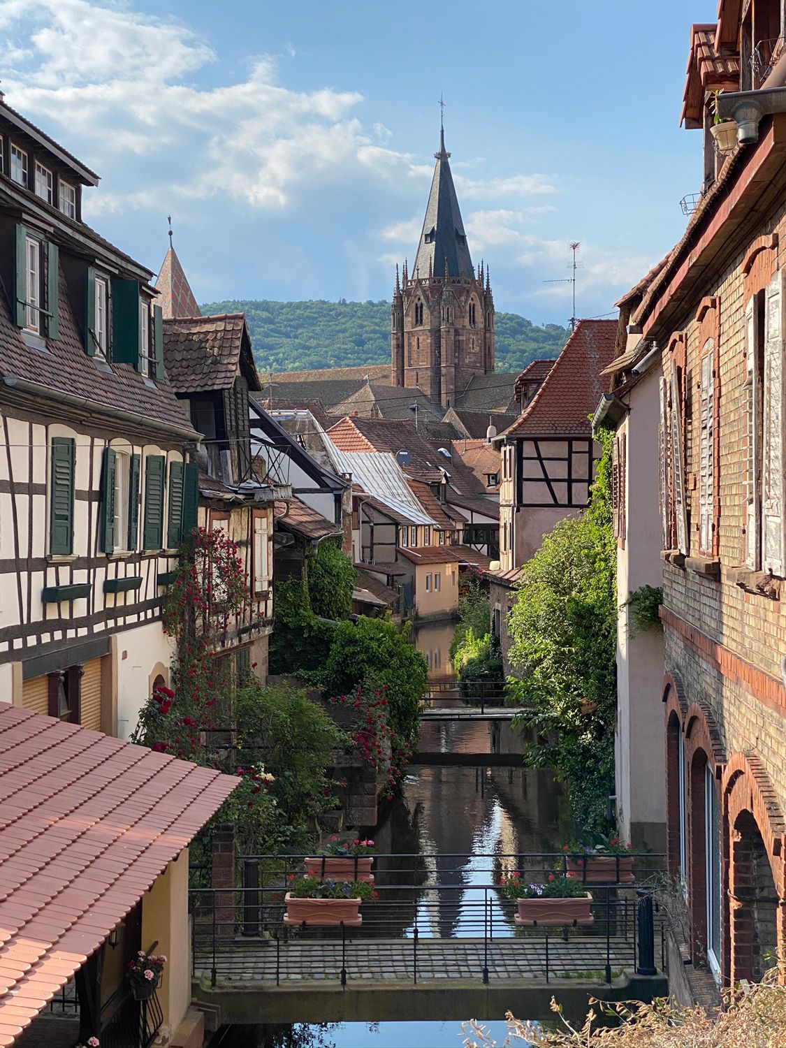 Alsace/ France Wunderschönes Jugendstilgebäude für traumhafte Ferien