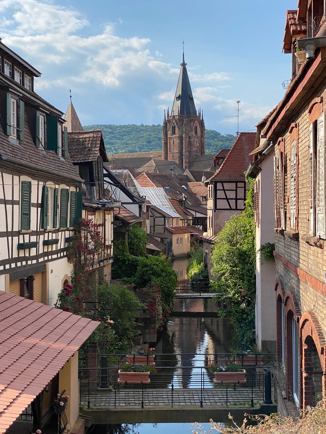 Wunderschönes Jugendstilgebäude Villa 1907 – Wissembourg Alsace/ France 8 Alsace/ France Wunderschönes Jugendstilgebäude für traumhafte Ferien