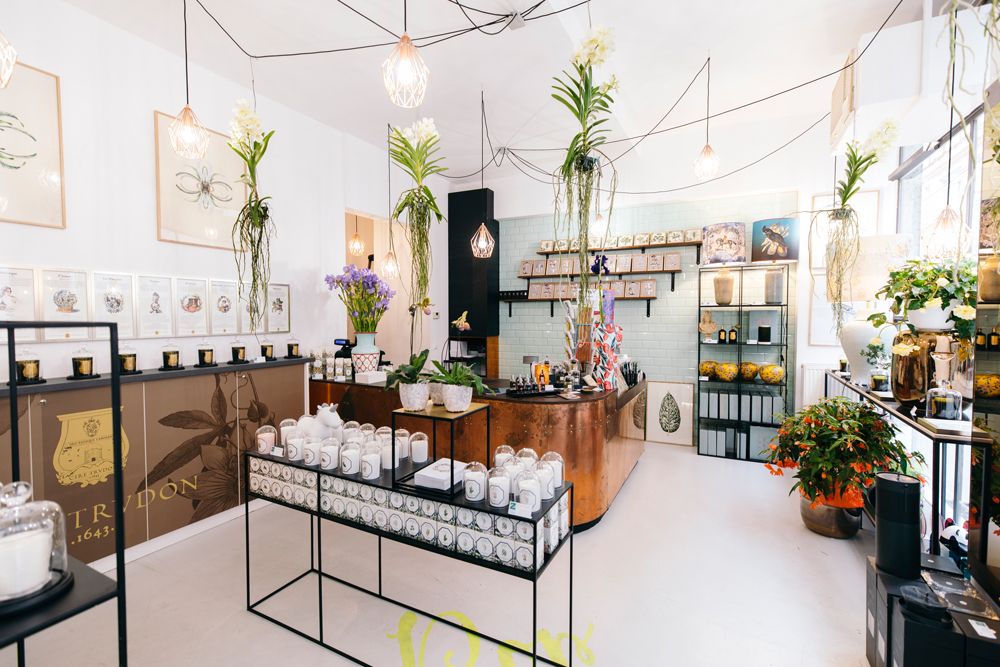 Blumendekorationen in der Zweigstelle – Wien 7 Zweigstelle – Wien