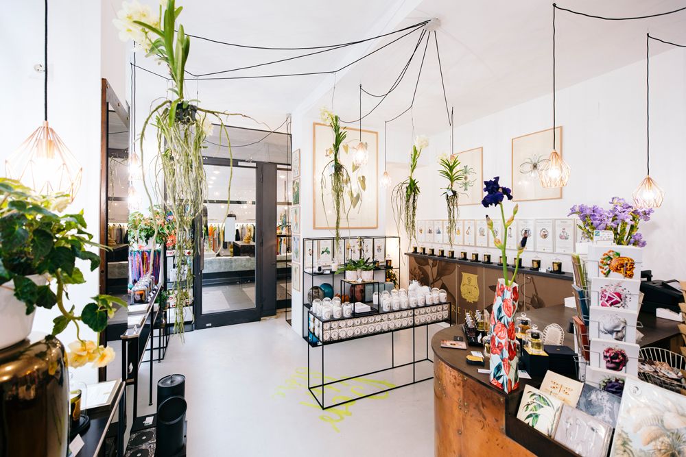 Blumendekorationen in der Zweigstelle – Wien 8 Zweigstelle – Wien