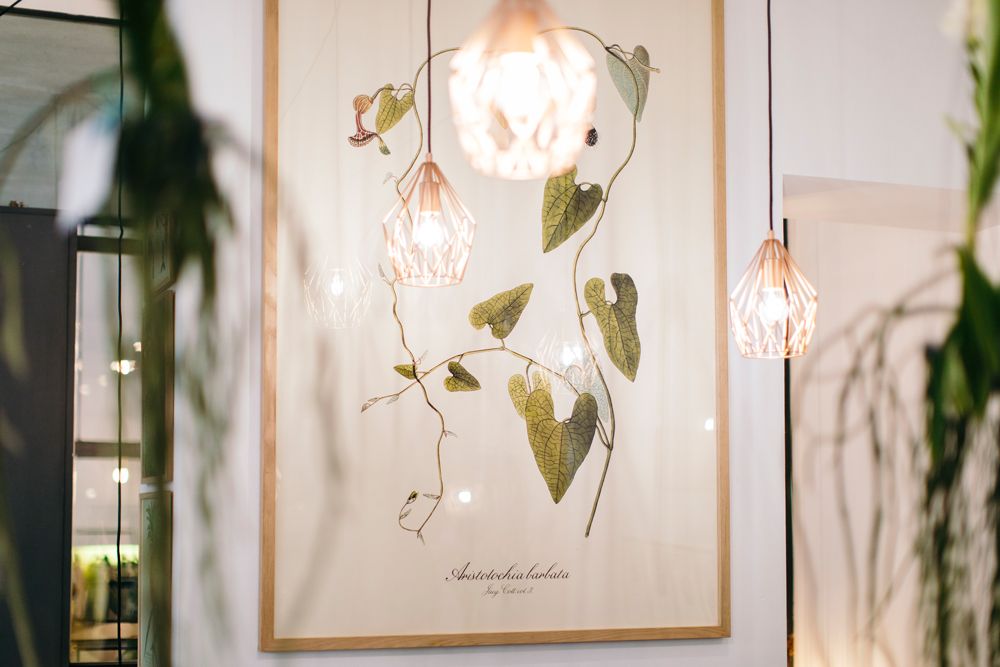 Blumendekorationen in der Zweigstelle – Wien 10 Zweigstelle – Wien