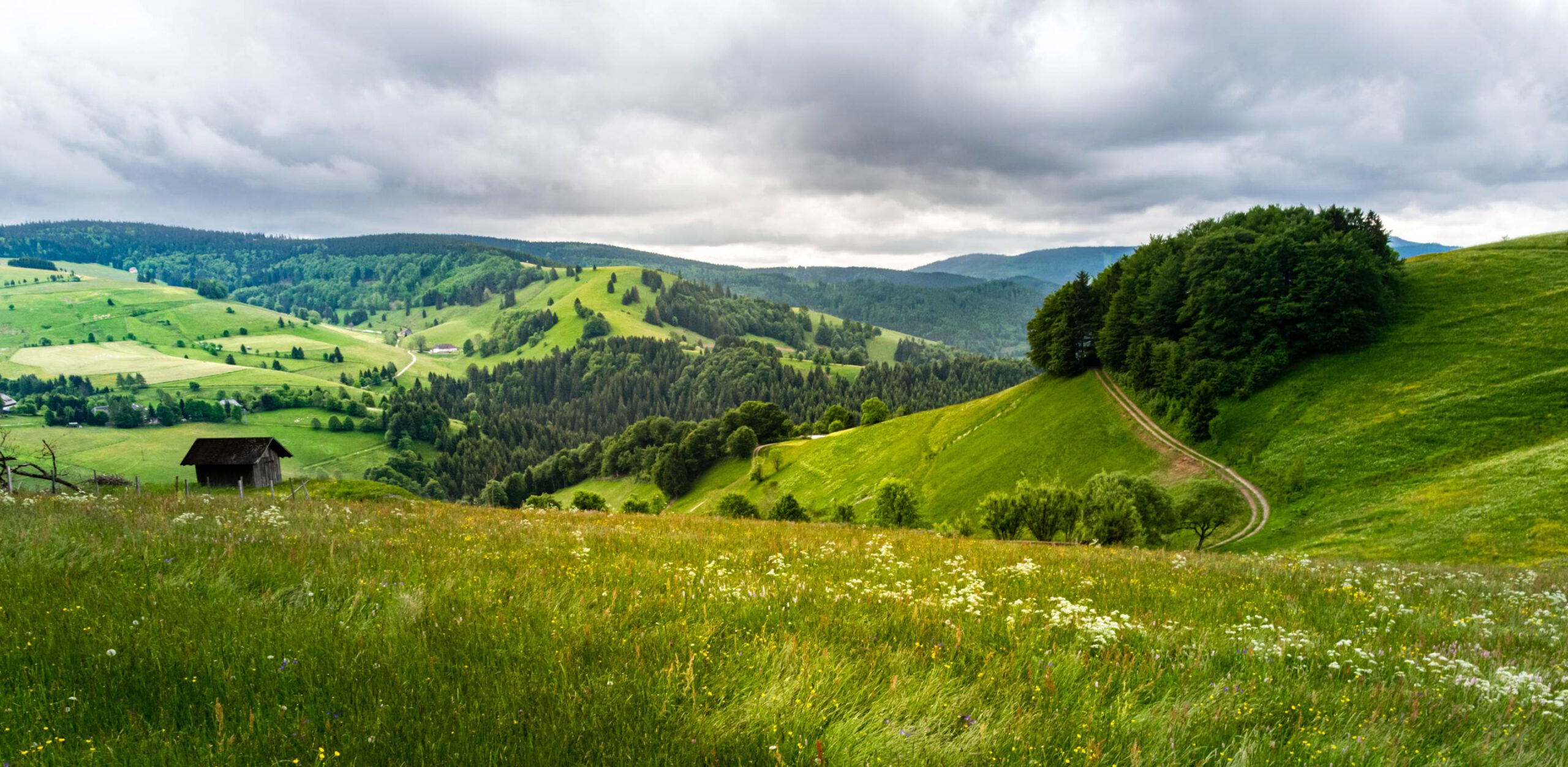 Städte & Regionen