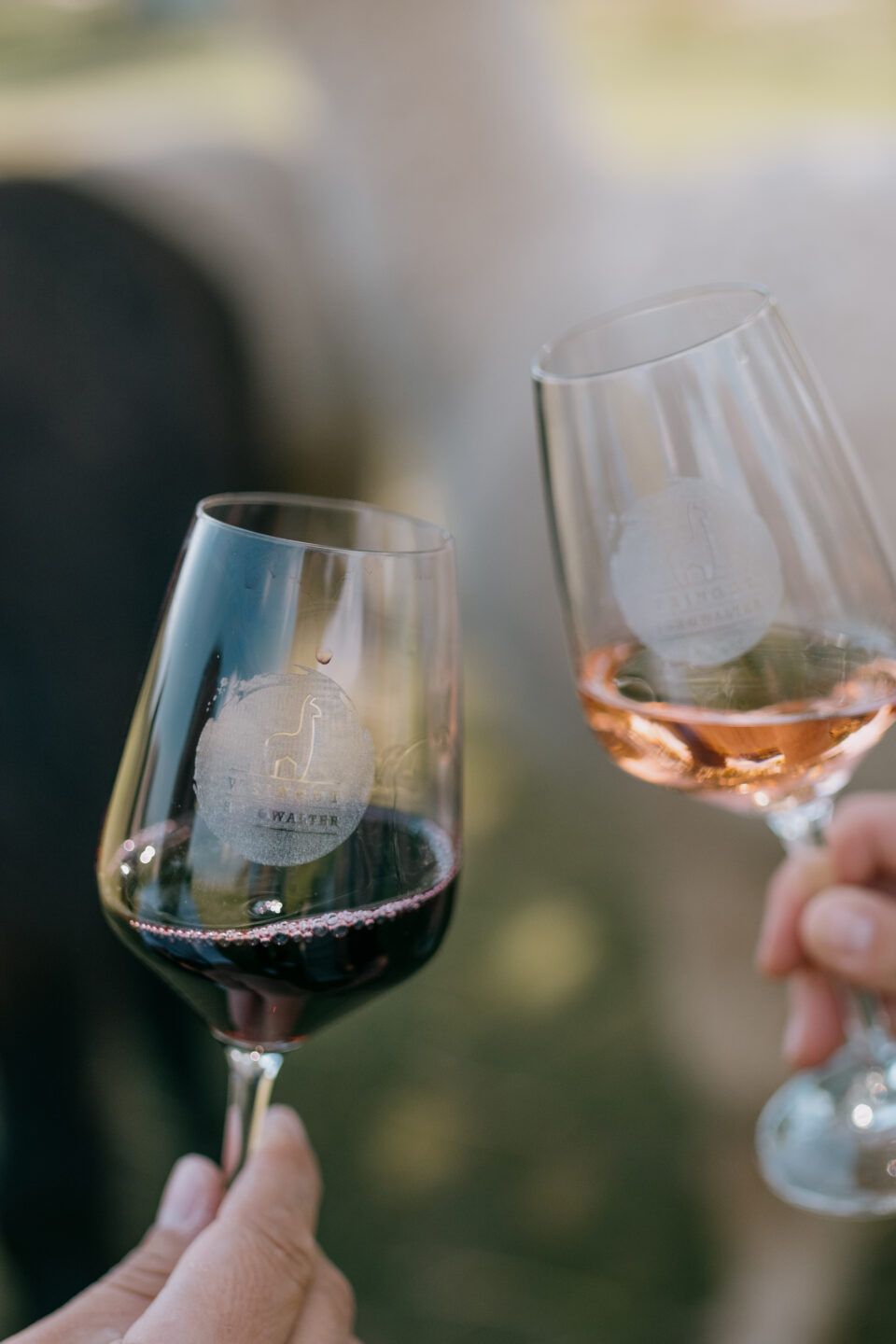 Weingut Schowalter – Weine vom Alpakahof Rosengarten