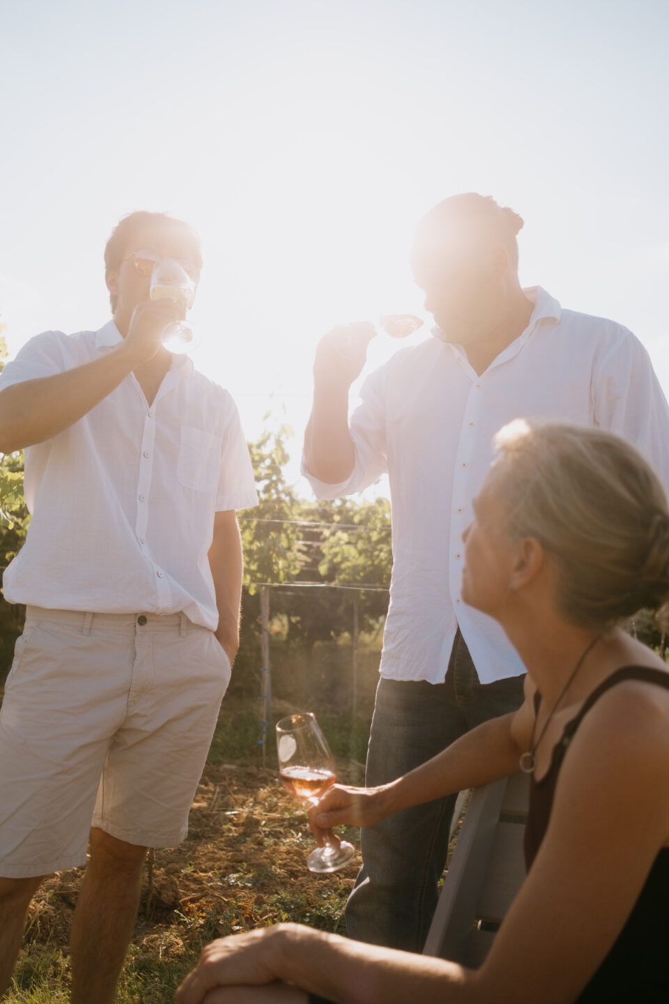 Weingut Schowalter – Weine vom Alpakahof Rosengarten