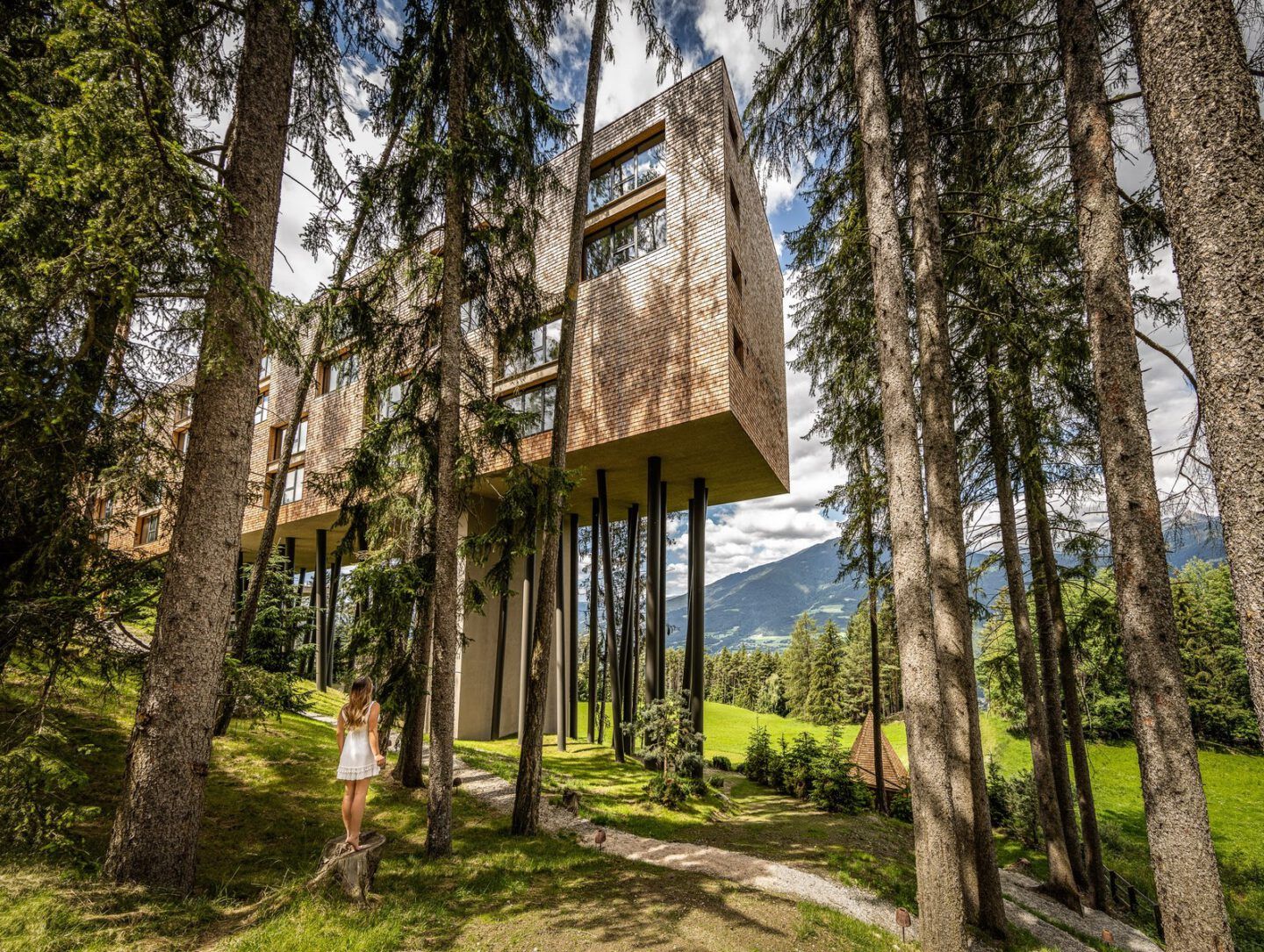 Baumhotel Südtirol - My Arbor