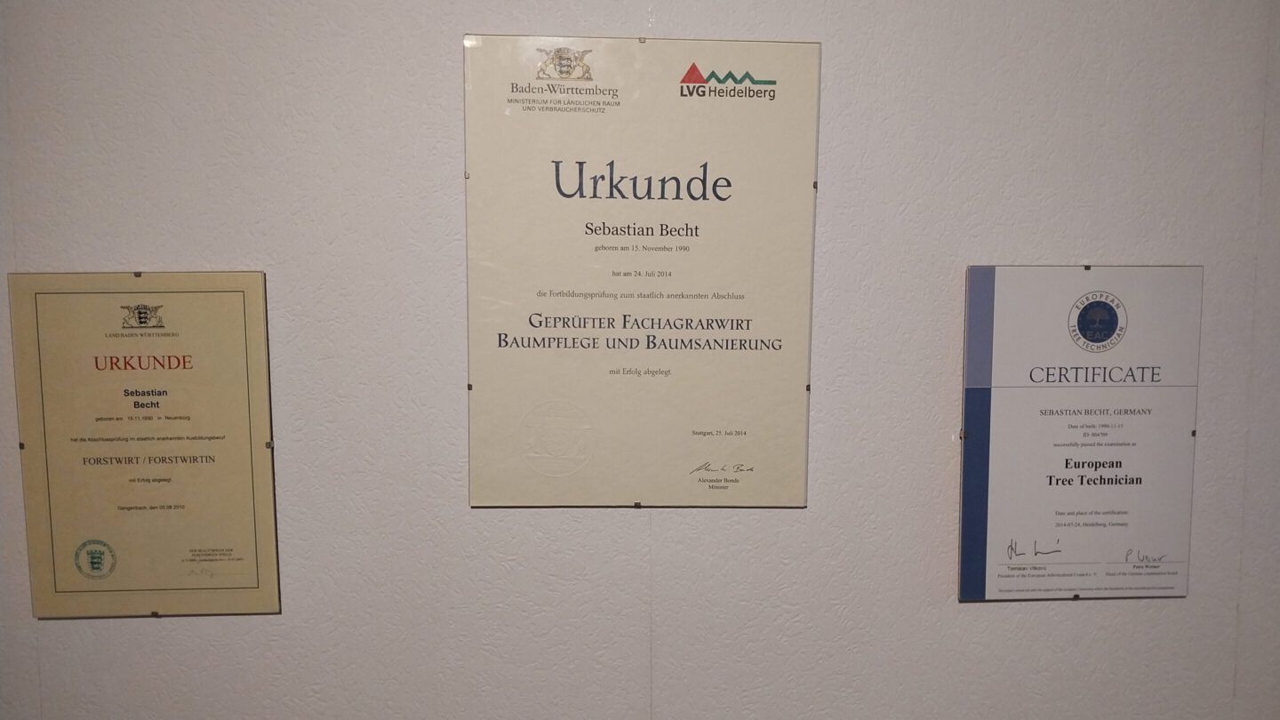 Gartenpflege. Baumpflege. Baumfällung. Sebastian Becht, Birkenfeld