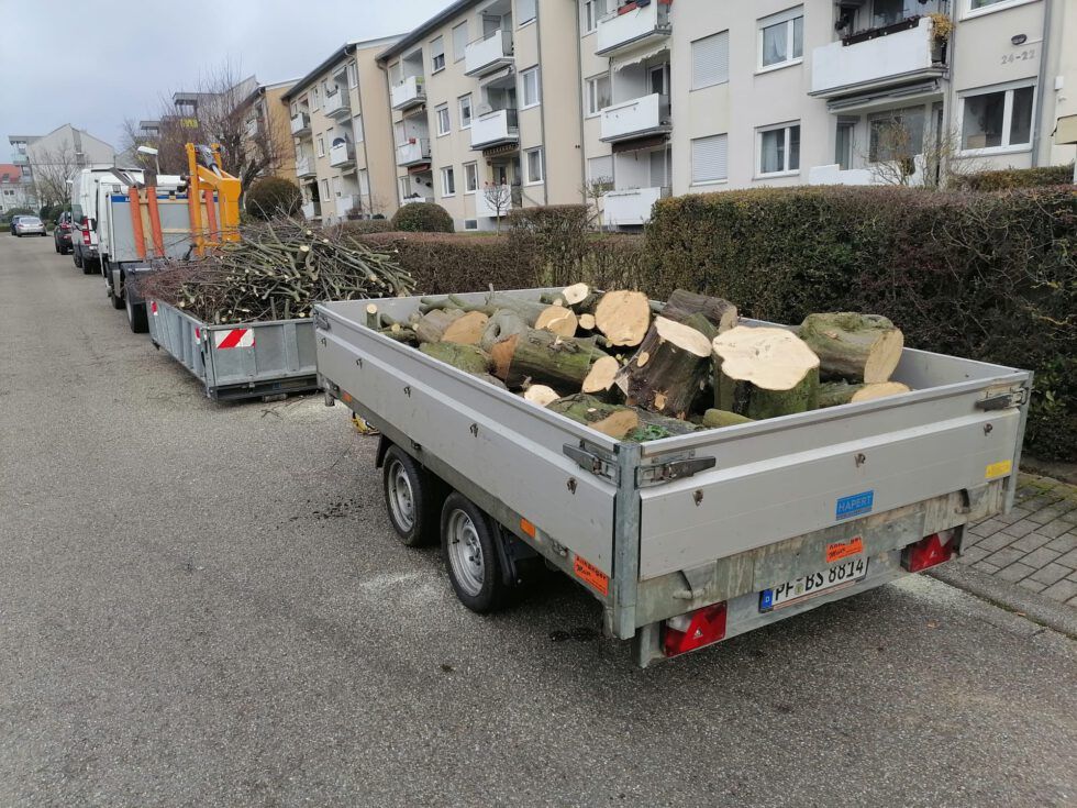 tipp-sie-haben-ein-ziel Gartenpflege. Baumpflege. Baumfällung. Sebastian Becht, Birkenfeld