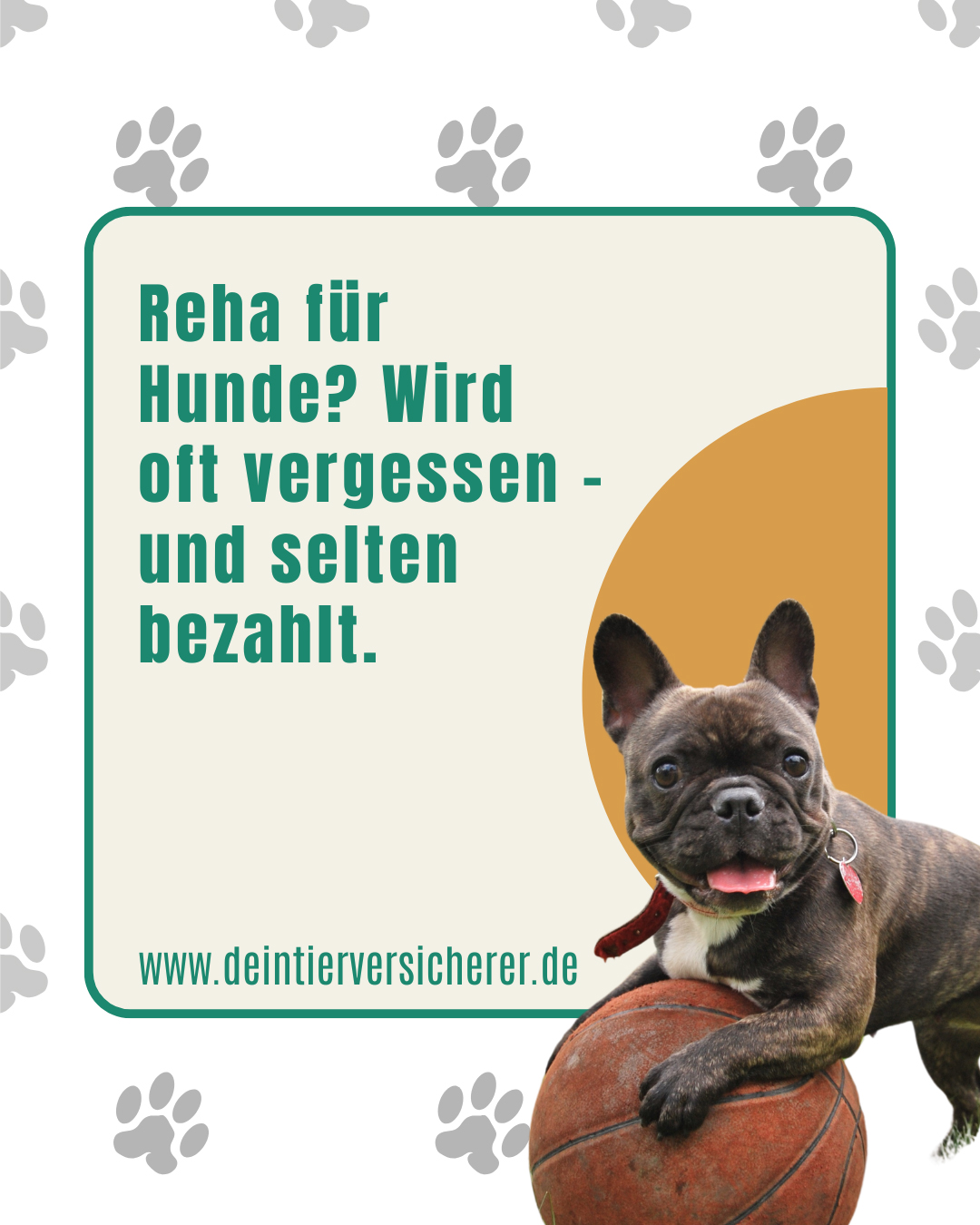Gökhan Güner – Der Spezialist für Tierversicherung & Hundekrankenversicherung 7 Gökhan Güner – Der Spezialist für Tierversicherung & Hundekrankenversicherung