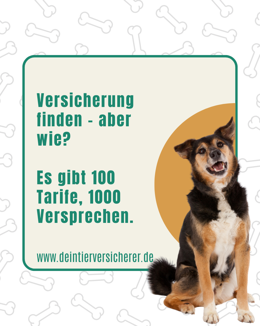 Gökhan Güner – Der Spezialist für Tierversicherung & Hundekrankenversicherung 3 Gökhan Güner – Der Spezialist für Tierversicherung & Hundekrankenversicherung