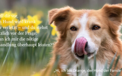 tipp-tierarztkosten-duerfe Gökhan Güner – Der Spezialist für Tierversicherung & Hundekrankenversicherung