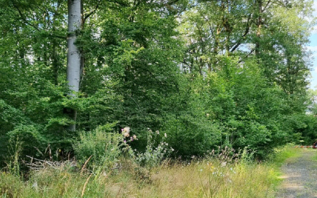 Heute gestalten, was morgen sein soll!