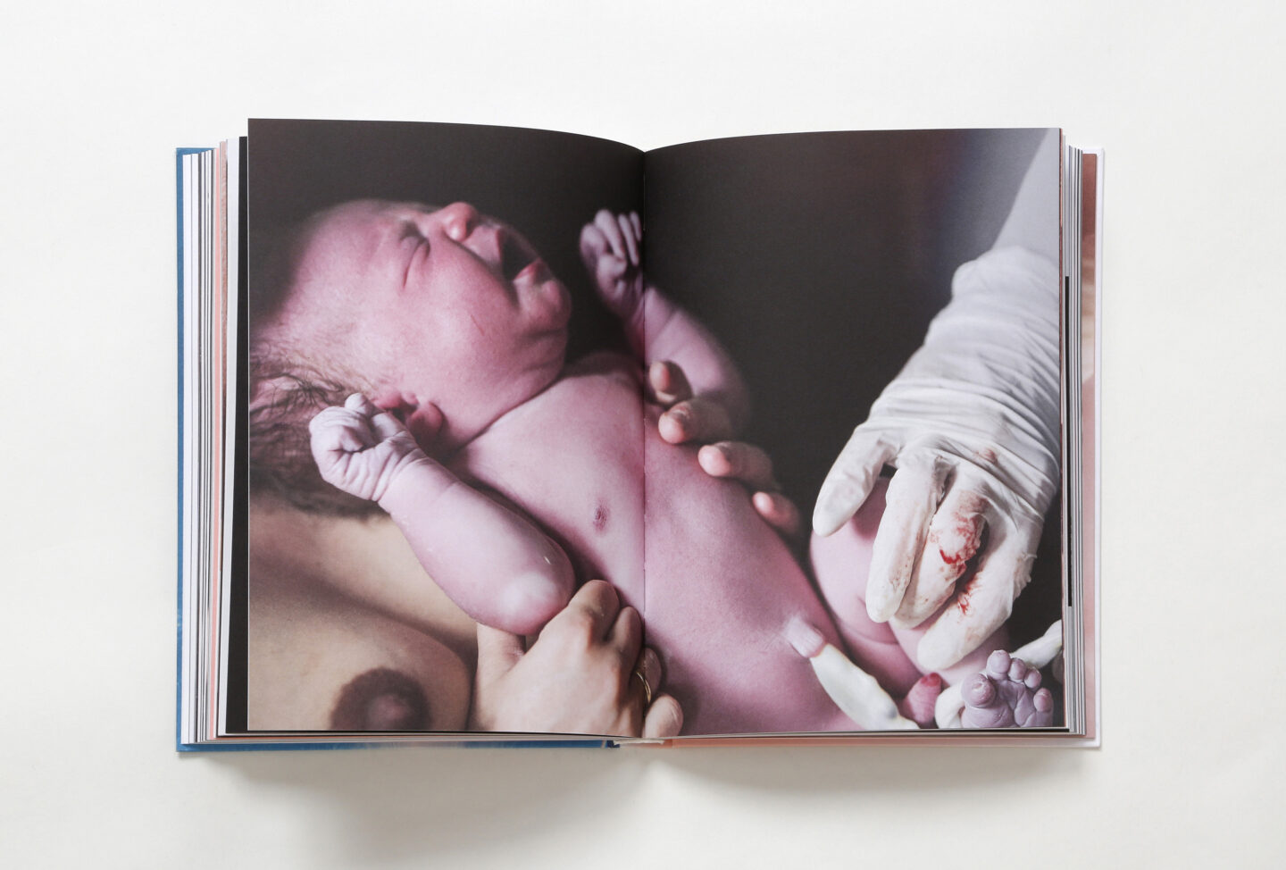 Stiftung Buchkunst stellt vor | Juli 2 Stiftung Buchkunst stellt vor | Juli