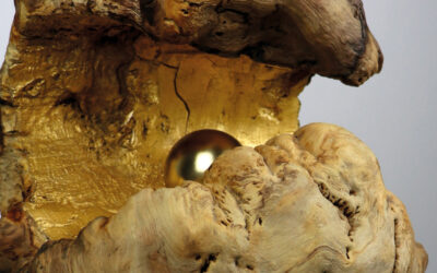 Über die bloße Wahrnehmung hinaus ...