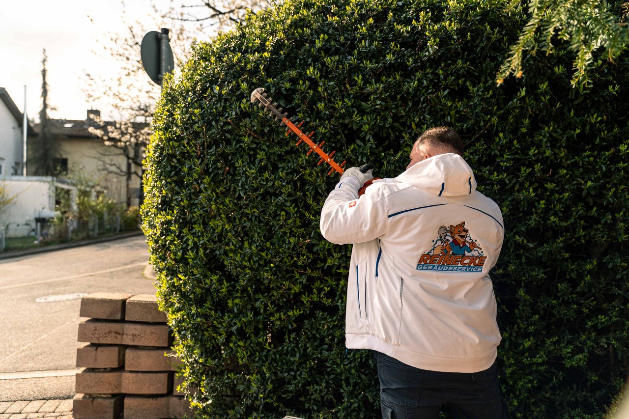 Gebäudereinigung Freiburg, March & Umgebung - Reinecke Gebäudeservice
