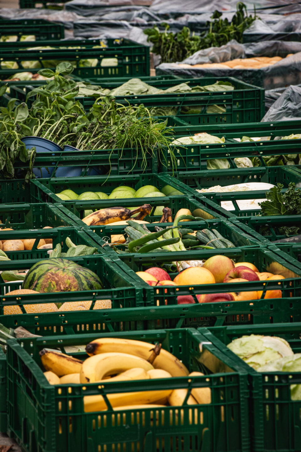 Gemeinsam Lebensmittel retten – Verwendung statt Lebensmittelverschwendung