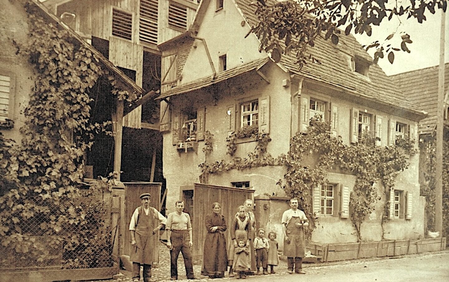 Schreinerei Gebhardt Freiburg – Fenster, Türen und Möbel nach Maß
