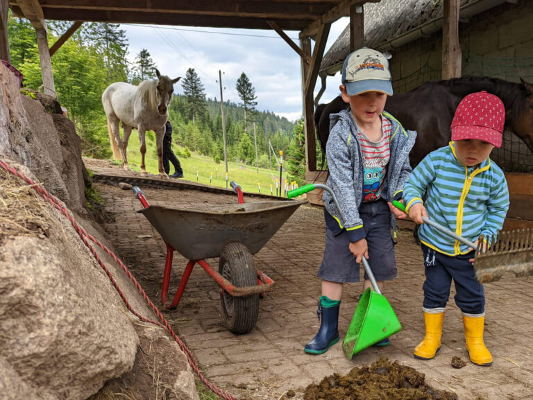 Therapie- und Erlebnishof Glücksbringer – Tiergestützte Therapie im Hochschwarzwald 4 Therapie- und Erlebnishof Glücksbringer – Tiergestützte Therapie im Hochschwarzwald