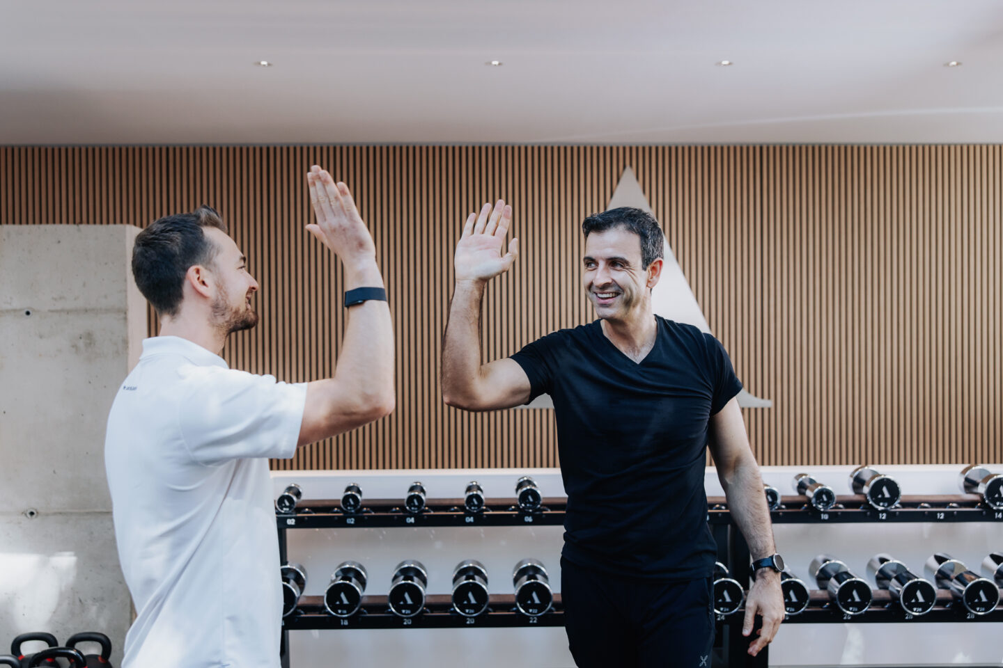 Vitalpartner, Gesundheitsberatung und Personal Training Freiburg - nachhaltig abnehmen, mehr Energie und Leistungsfähigkeit 5 Vitalpartner, Gesundheitsberatung und Personal Training Freiburg - nachhaltig abnehmen, mehr Energie und Leistungsfähigkeit