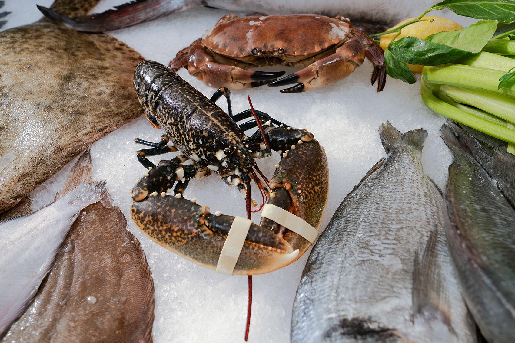 Südfisch Handels GmbH, Fisch und Feinkost, Muggensturm 2 Hummer und Krabben in der Südfisch-Auslage.